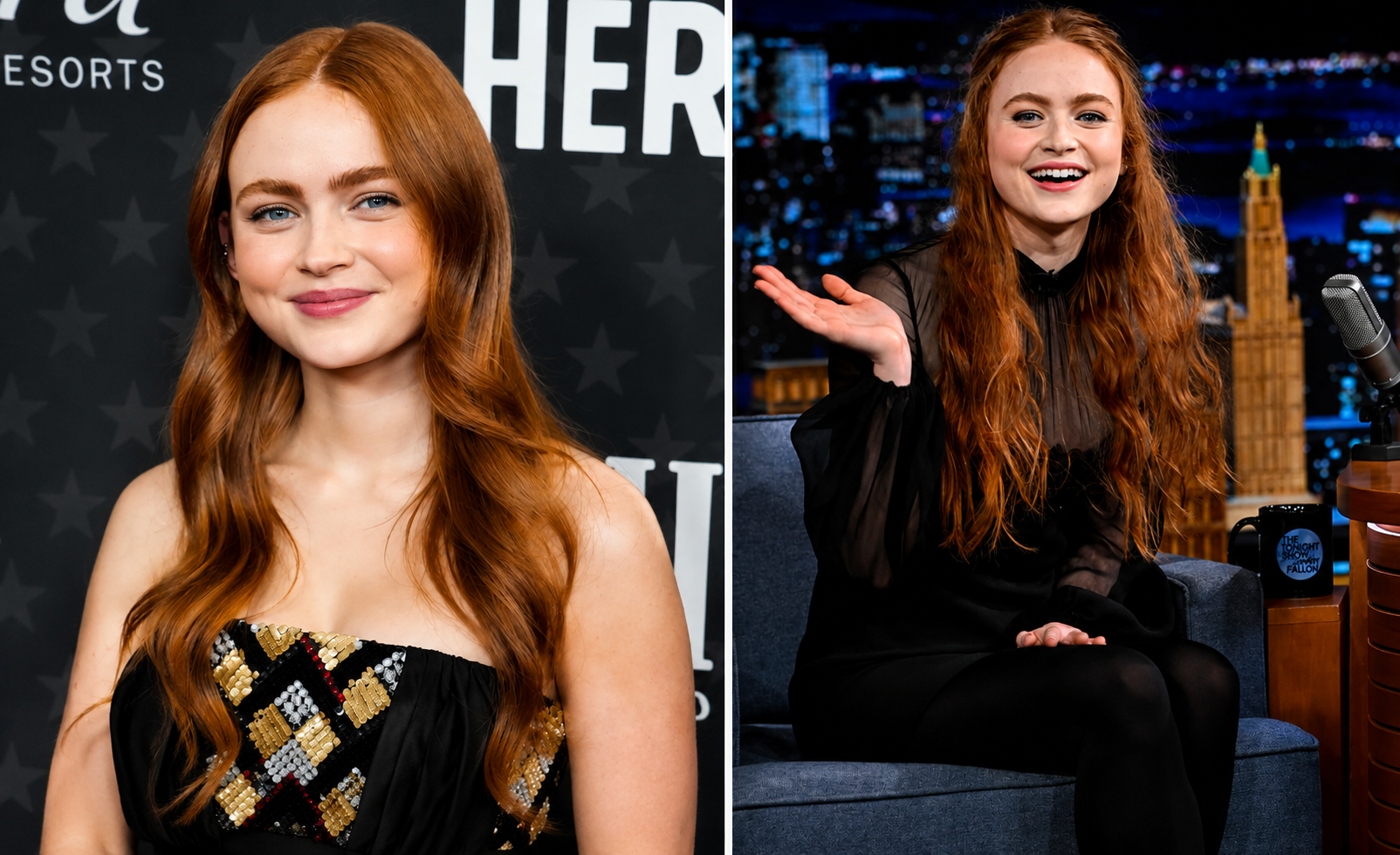 Sadie Sink Parents